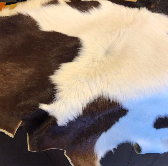 スクリーンショット 2019-02-17 13.43.56